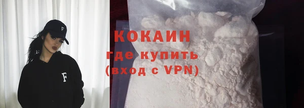 шишки Беломорск